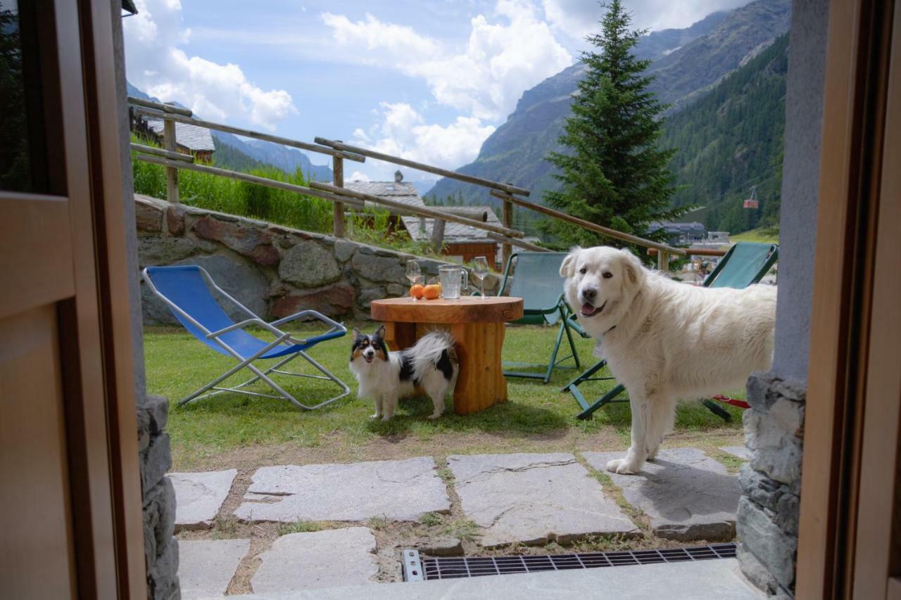 Walsertal Residence Gressoney-la-Trinité Dış mekan fotoğraf